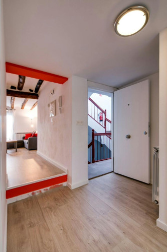 Calle Francisco Cantín y Gamboa, Zaragoza - Gallery - 7