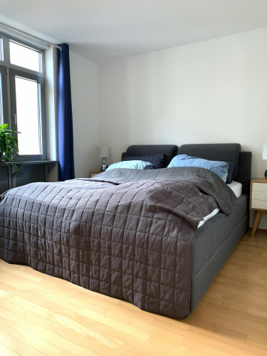 Alte Schönhauser Straße, Berlin