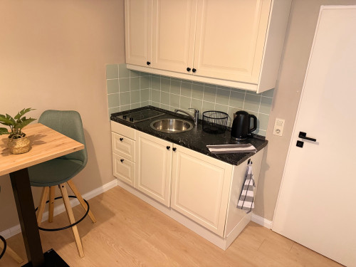 Top location in Göttingen: Fully newly furnished studio apartment near the North Campus & University Hospital