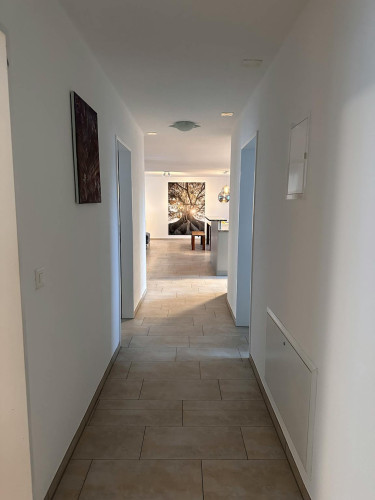 Goldschlägistrasse, Schlieren  - Gallery -  5