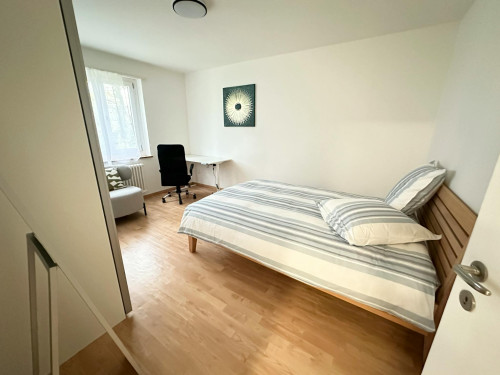 Langgrütstrasse, Zürich - Gallery - 15