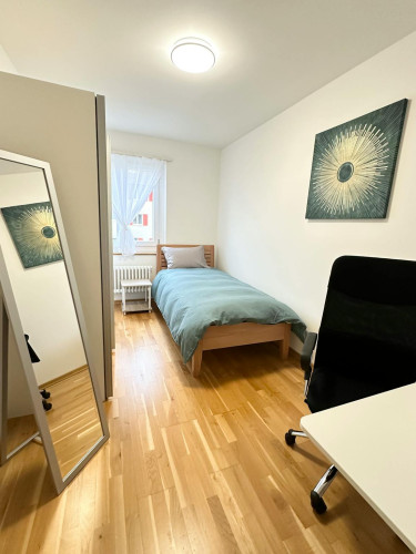Langgrütstrasse, Zürich - Gallery - 6
