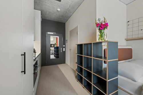 Lorzenparkstrasse, Cham - Gallery - 6