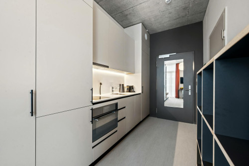 Lorzenparkstrasse, Cham  - Gallery -  5