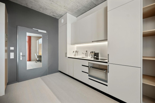 Lorzenparkstrasse, Cham - Gallery - 9