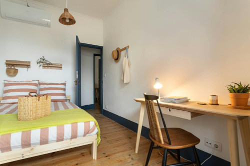 Rua Álvaro Coutinho, Lisbon