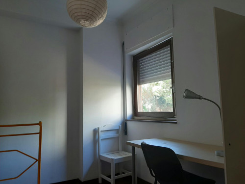 Rua Carolina Michaellis, Coimbra