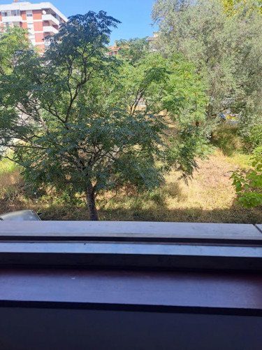 Rua Carolina Michaellis, Coimbra