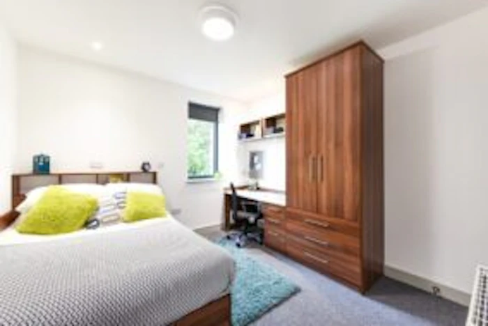  Studio Bronze Plus  -  Chapel Heights Roost  - Gallery -  1