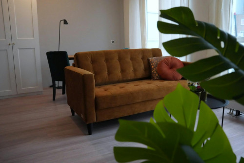 Den Hertigstraat, Rotterdam