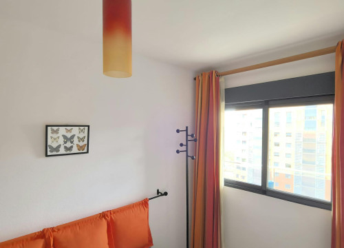Calle Granja de Rocamora, Alicante  - Gallery -  5