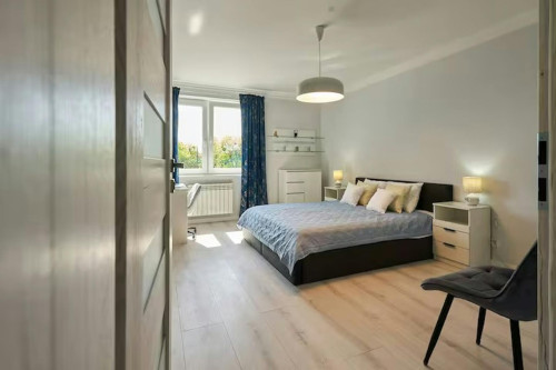 Zgoda, Poznań - Gallery - 6