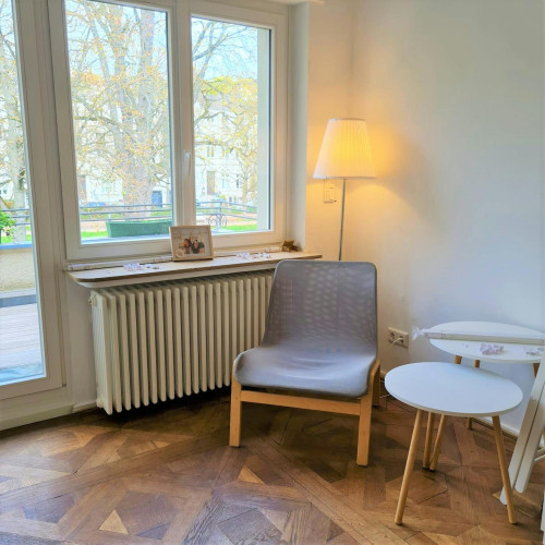 Poppelsdorfer Allee, Bonn