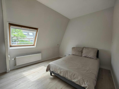 Claes de Vrieselaan, Rotterdam