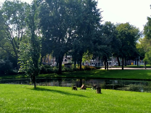 Pupillenstraat, Rotterdam