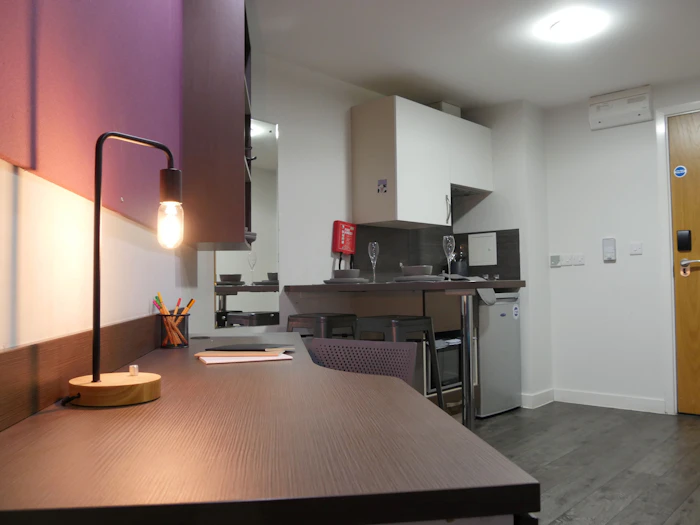  Studio Bronze  -  Cornerhouse Roost  - Gallery -  3