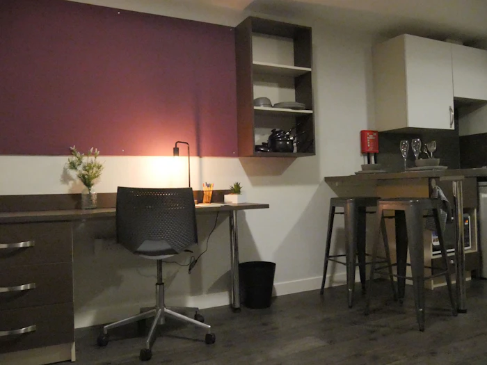  Studio Silver  -  Cornerhouse Roost  - Gallery -  3