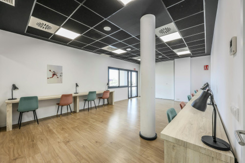 Calle del Papa Luna, Salamanca - Gallery - 10