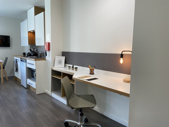  Studio Bronze  -  Laycock Studios Roost  - Gallery -  4