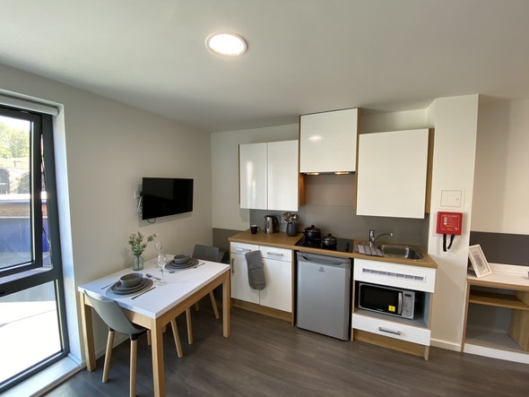  Studio Bronze  -  Laycock Studios Roost  - Gallery -  7