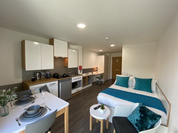  Studio Bronze  -  Laycock Studios Roost  - Gallery -  6