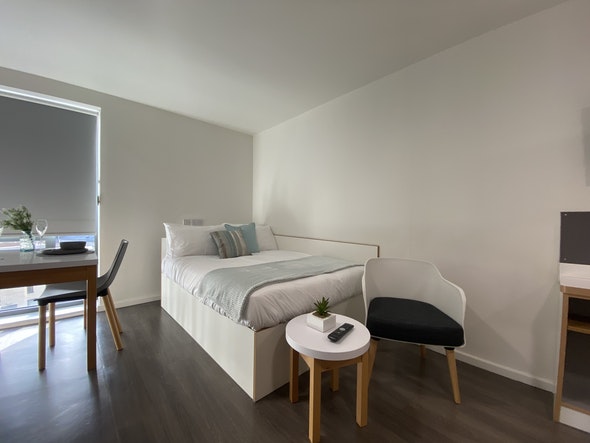  Studio Gold  -  Laycock Studios Roost  - Gallery -  1