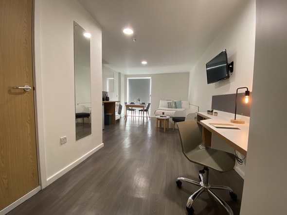  Studio Gold  -  Laycock Studios Roost  - Gallery -  4