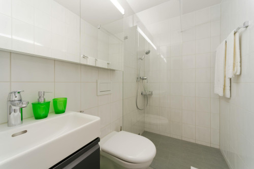 Bahnhofstrasse, Wallisellen - Gallery - 7