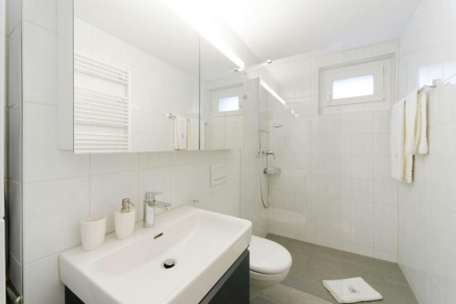 Bahnhofstrasse, Wallisellen  - Gallery -  5