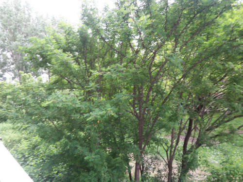 Marchwitzastraße, Berlin