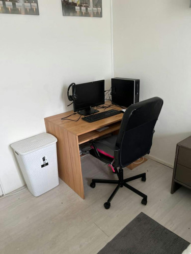Bulgarijepad, Haarlem
