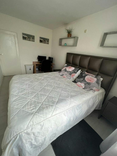 Bulgarijepad, Haarlem