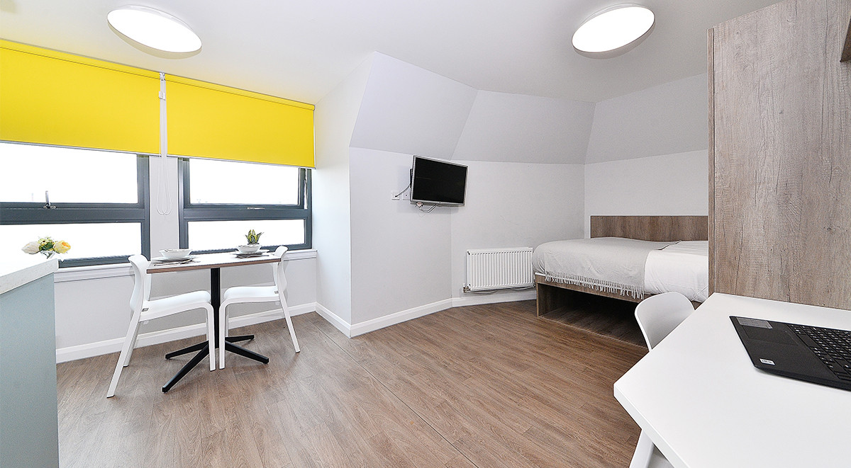  Gold Studio  -  The Mill House  - Gallery -  12
