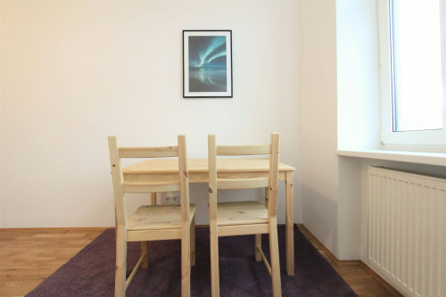 Lerchenfelder Gürtel, Vienna - Gallery - 6