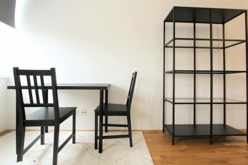 Lerchenfelder Gürtel, Vienna - Gallery - 5