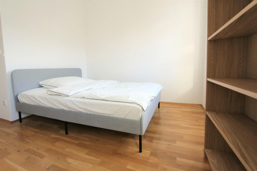 Lerchenfelder Gürtel, Vienna - Gallery - 5
