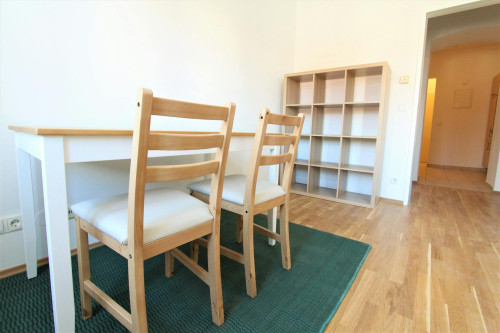 Simmeringer Hauptstraße, Vienna - Gallery - 6