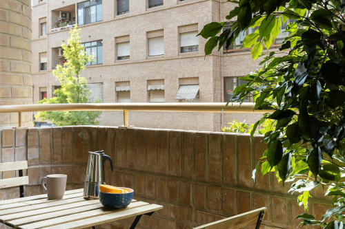 Passeig Facultats, Valencia