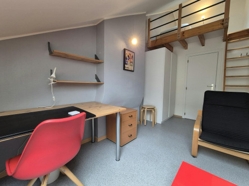 Rue Darchis, Liège - Gallery - 12