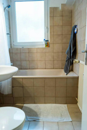 Willmanndamm, Berlin