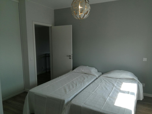 Rua das Camélias, Vila Nova de Gaia