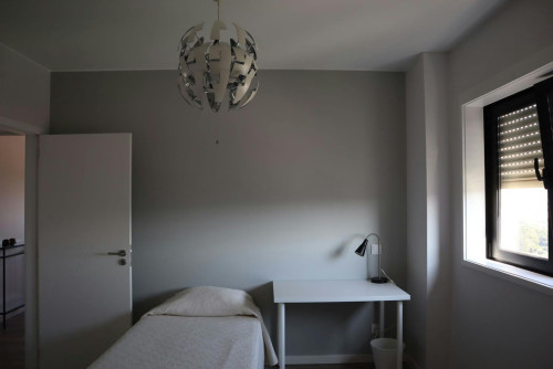 Rua das Camélias, Vila Nova de Gaia