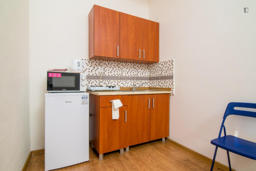 Cosy and bright studio in Jezerka