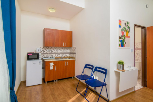 Cosy and bright studio in Jezerka