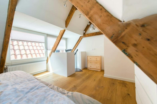 Lauriergracht, Amsterdam