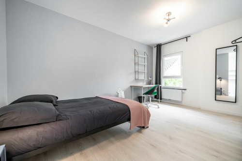 Boulevard Dolez, Mons