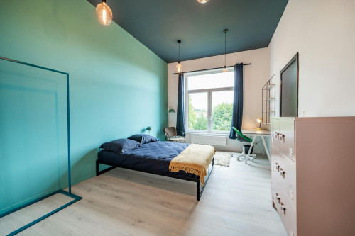 Boulevard Dolez, Mons