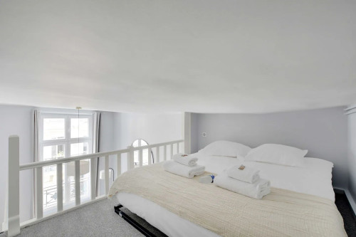 Spacious & perfect Parisian studio