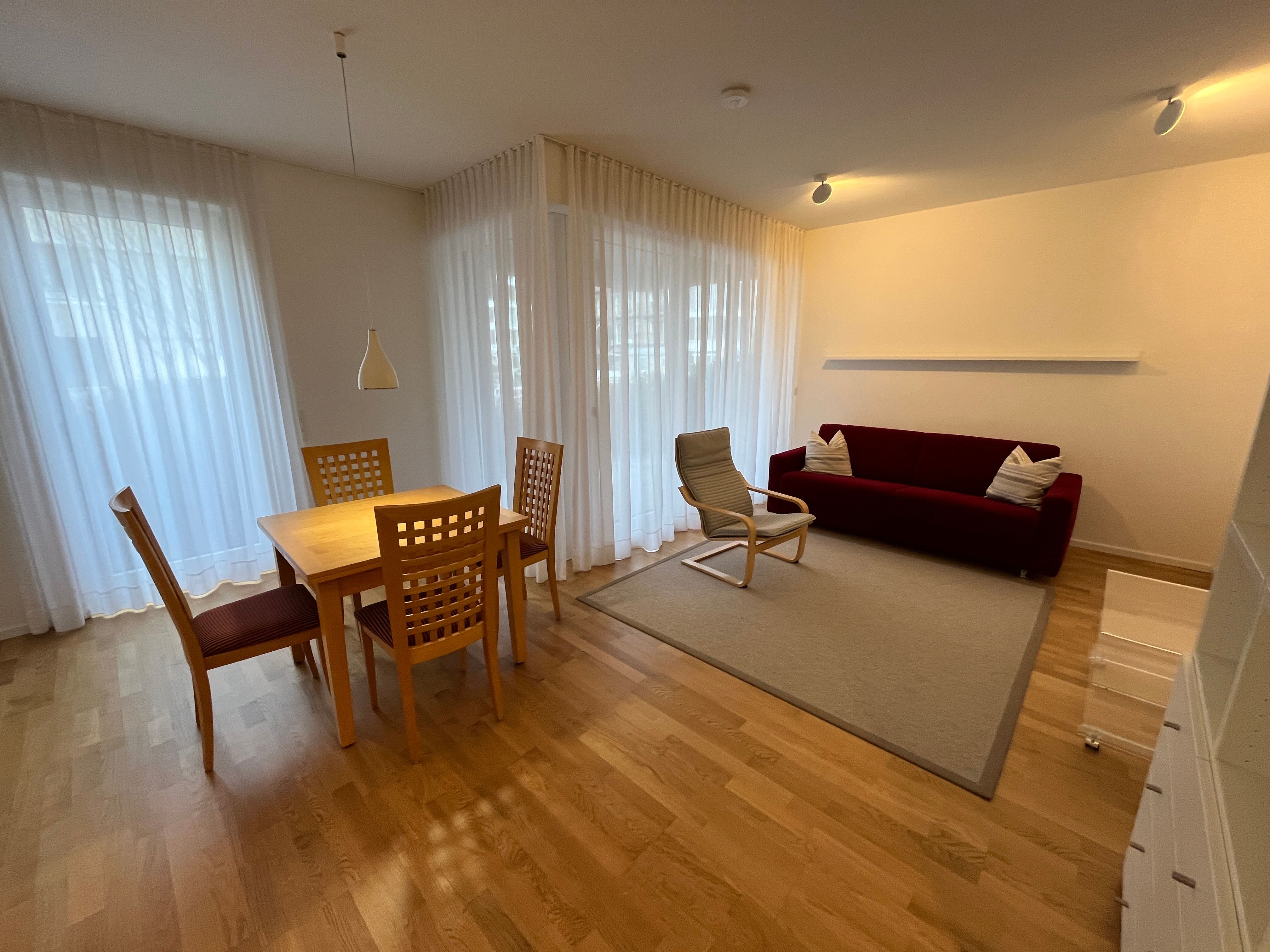 Modern Furnished 2-Room Apartment With Terrace In Heidelberg-Bahnstadt - 4