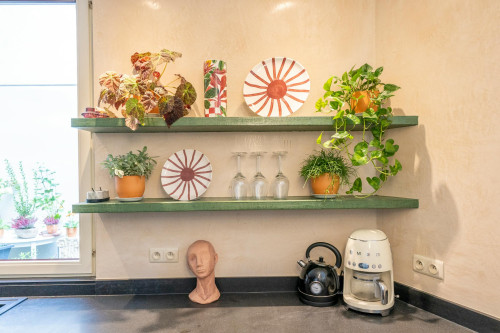 Dodoensstraat, Antwerpen - Gallery - 10